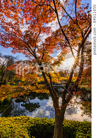 Beautiful Kokoen Garden during autumn foliage season in Himeji city, Japan 84011850