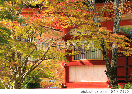 Autumn leaves of Shishiyama Shrine Autumn leaves of Shishiyama Shrine 84012970