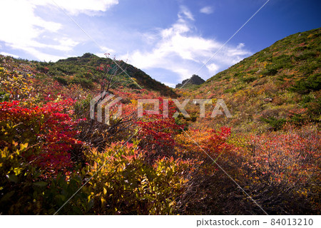 安達塔拉山的山路的秋葉。山頂的特色造型和紅、黃、綠、錦紅的秋葉,美不勝收。 安達塔拉山的山路的秋葉。山頂的特色造型和紅、黃、綠、錦紅的秋葉,美不勝收。 84013210