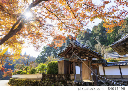 Onoji Temple Autumn leaves of maple and yellow leaves of ginkgo Onoji Temple Autumn leaves of maple and yellow leaves of ginkgo 84013496