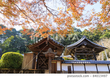 Onoji Temple Autumn leaves of maple and yellow leaves of ginkgo Onoji Temple Autumn leaves of maple and yellow leaves of ginkgo 84013497
