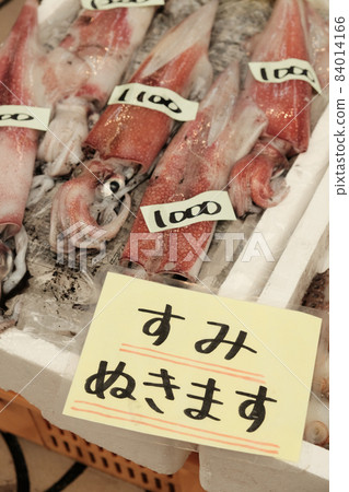 魷魚 魷魚 84014166