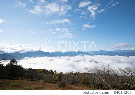 從秩父美濃山山上看到的秩父盆地早晨的雲海 84014205
