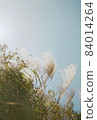 Miscanthus sinensis saying goodbye in autumn 84014264