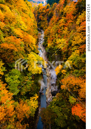 Autumn leaves in full bloom Oyasukyo in Akita 84014314