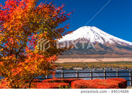 《山梨縣》 富士山和山中湖畔的紅葉 《山梨縣》 富士山和山中湖畔的紅葉 84014886