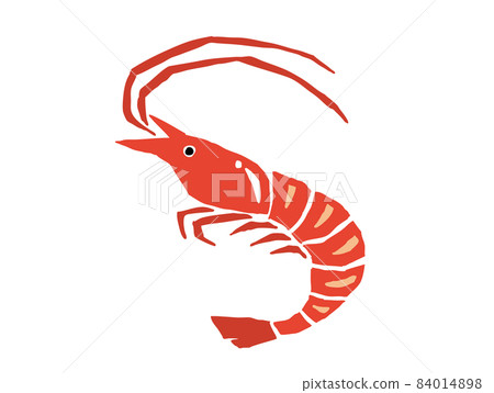 Shrimp retro vector illustration 84014898