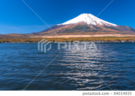 《Yamanashi Prefecture》 Autumn Mt. Fuji / Lake Yamanakako 《Yamanashi Prefecture》 Autumn Mt. Fuji / Lake Yamanakako 84014935