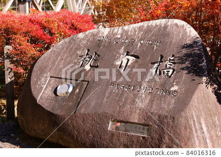Autumn Momosuke Bridge 84016316