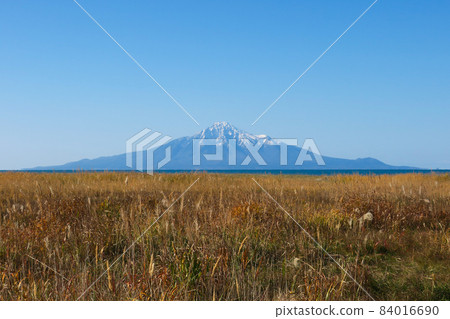 旅途中陽光明媚的禮文島利尻島 84016690