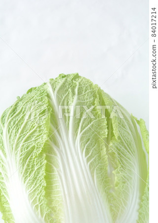 Cabbage 84017214