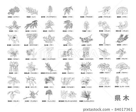 47 prefectures_prefectural tree list_line drawing 84017361