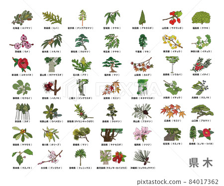47 prefectures_prefecture tree list_color 84017362