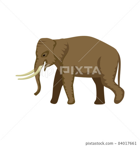 Tropical Elephant Tourism Composition Tropical Elephant Tourism Composition 84017661