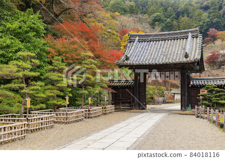 Autumn leaves of Hase-dera Temple 84018116