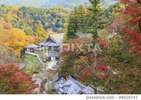 Autumn leaves of Hase-dera Temple Autumn leaves of Hase-dera Temple 84018141