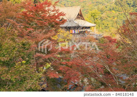 Autumn leaves of Hase-dera Temple Autumn leaves of Hase-dera Temple 84018148