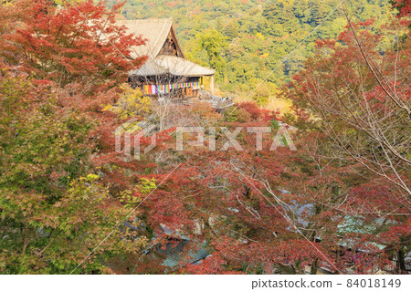 Autumn leaves of Hase-dera Temple Autumn leaves of Hase-dera Temple 84018149