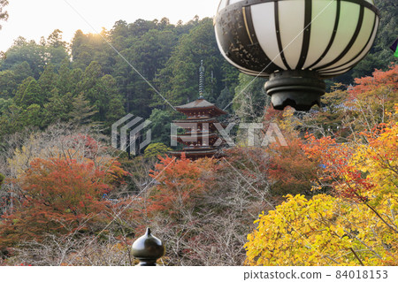 Autumn leaves of Hase-dera Temple Autumn leaves of Hase-dera Temple 84018153