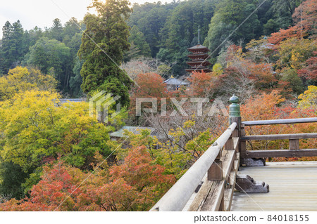 Autumn leaves of Hase-dera Temple Autumn leaves of Hase-dera Temple 84018155