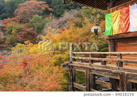 Autumn leaves of Hase-dera Temple Autumn leaves of Hase-dera Temple 84018159
