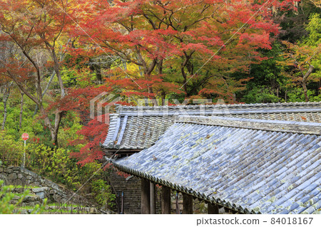 Autumn leaves of Hase-dera Temple Autumn leaves of Hase-dera Temple 84018167