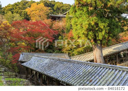 Autumn leaves of Hase-dera Temple Autumn leaves of Hase-dera Temple 84018172