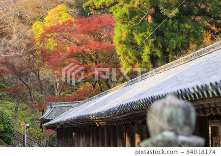 Autumn leaves of Hase-dera Temple Autumn leaves of Hase-dera Temple 84018174