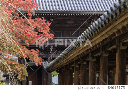 Autumn leaves of Hase-dera Temple Autumn leaves of Hase-dera Temple 84018175
