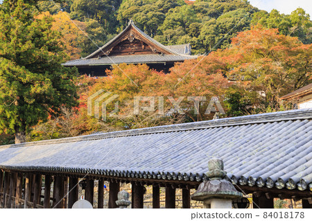 Autumn leaves of Hase-dera Temple Autumn leaves of Hase-dera Temple 84018178