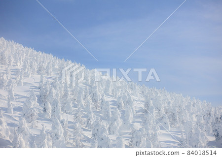 Rime on trees, hoarfrost, Zao 84018514