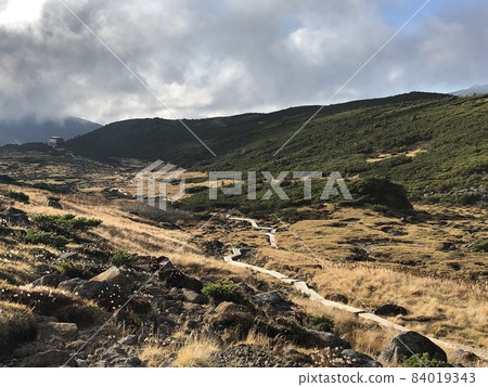 An endless wooden path leading to Unnohira and the mountain lodge 84019343
