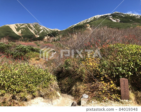 黑部川的源頭,直接延伸到鷲羽山的正下方 黑部川的源頭,直接延伸到鷲羽山的正下方 84019348