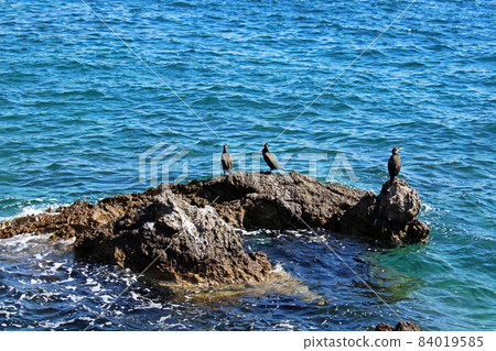 View from Icici's seaside promenade, the beach with birds, Adriatic coast, Kvarner bay, city details, Croatia View from Icici's seaside promenade, the beach with birds, Adriatic coast, Kvarner bay, city details, Croatia 84019585