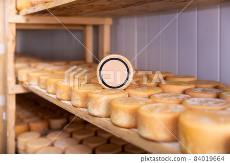Wheels of sheep cheese on shelves in ripening room with copy space 84019664