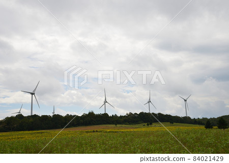 我去了布引式高原#61 84021429