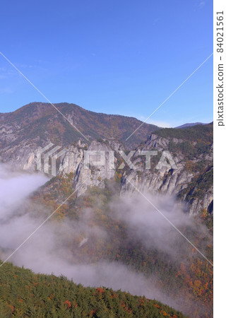 居王山的早晨 84021561