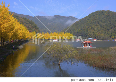 Autumn at Goesan Mungwang Reservoir 84021614