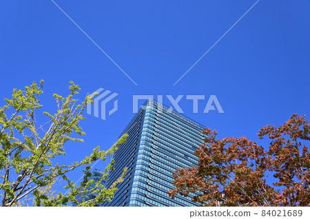 Granfront大阪在秋天 84021689