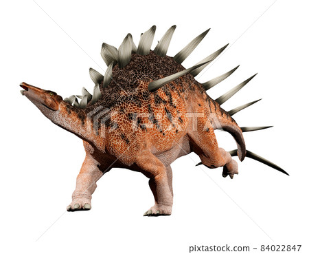 Kentrosaurus ☆ Kentrosaurus Kentrosaurus ☆ Kentrosaurus 84022847