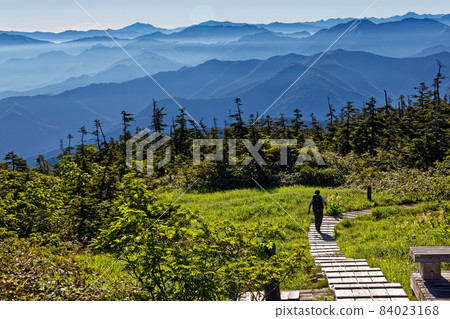 夏季沿著苗場山、神樂能峰嶺、谷川山、尾瀨方向的登山者 84023168