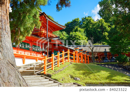 春日大社禦本殿大杉神社的首領 春日大社禦本殿大杉神社的首領 84023322
