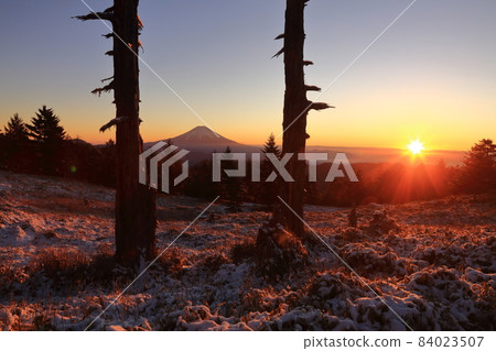 延布詩達進入雪原 延布詩達進入雪原 84023507