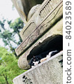小睡一隻貓 84023589