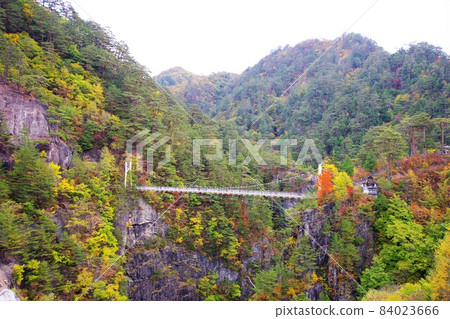Setoaikyo Valley and Suspension Bridge in Autumn Colors / Kawamata, Nikko City, Tochigi Prefecture Setoaikyo Valley and Suspension Bridge in Autumn Colors / Kawamata, Nikko City, Tochigi Prefecture 84023666