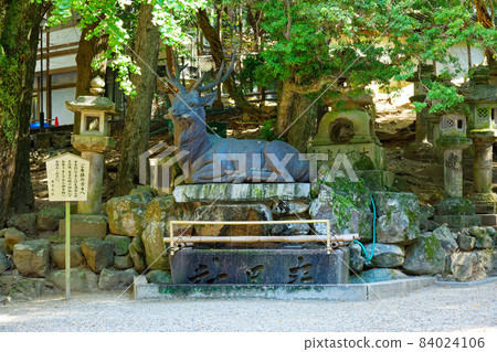 Kasuga Taisha Shrine Fushikate Water Station 84024106
