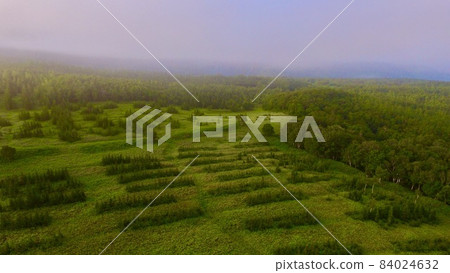 知床森林/草原-無人機航拍（北海道斜裡郡斜裡町） 84024632