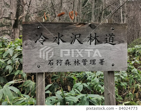 日水澤林道（北海道札幌市南區） 84024773