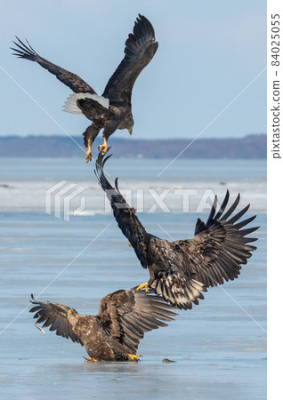 Lake Furen winter scenery Lake Furen winter scenery 84025055