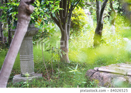 日本園林老鏡頭 日本園林老鏡頭 84026525